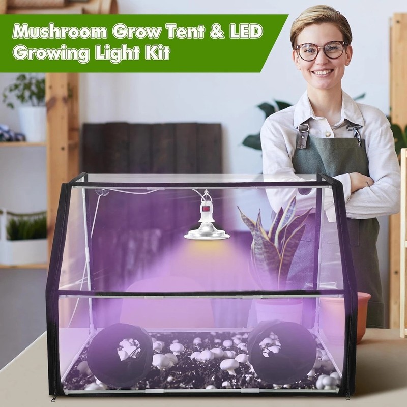 Easy-to-Use Mushroom Growing Setup with LED Lighting$ gallery