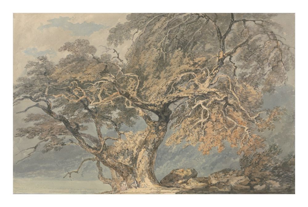 J.M.W. Turner A Great Tree : Archival Quality Giclée Art Print ca. 1796 gallery
