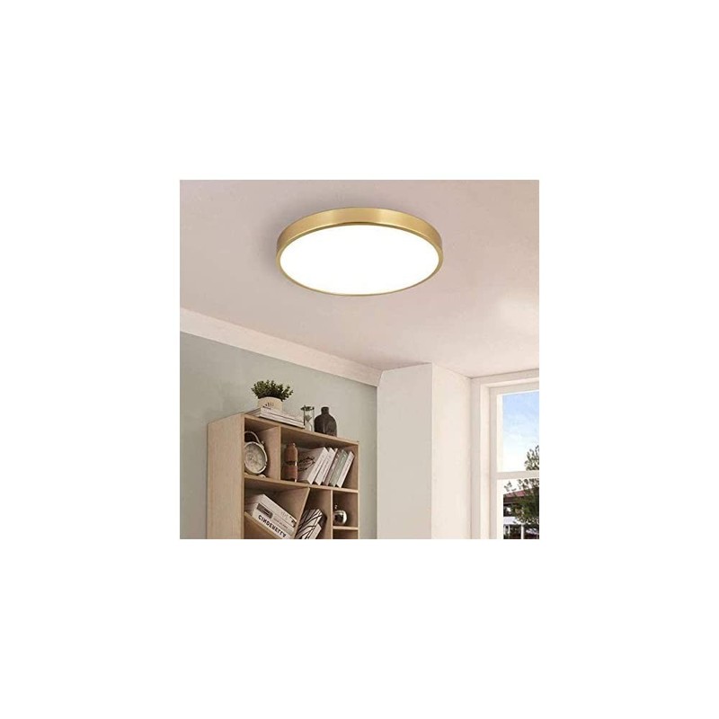12 Inch Brushed Gold LED Flush Mount Ceiling Light Thin Round 20W 30005000K gallery