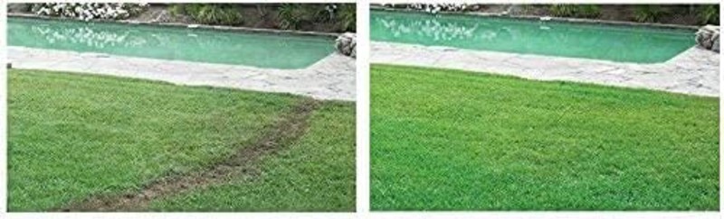 Liquid Lawn System - Spray Kit for Grass Seeding= gallery