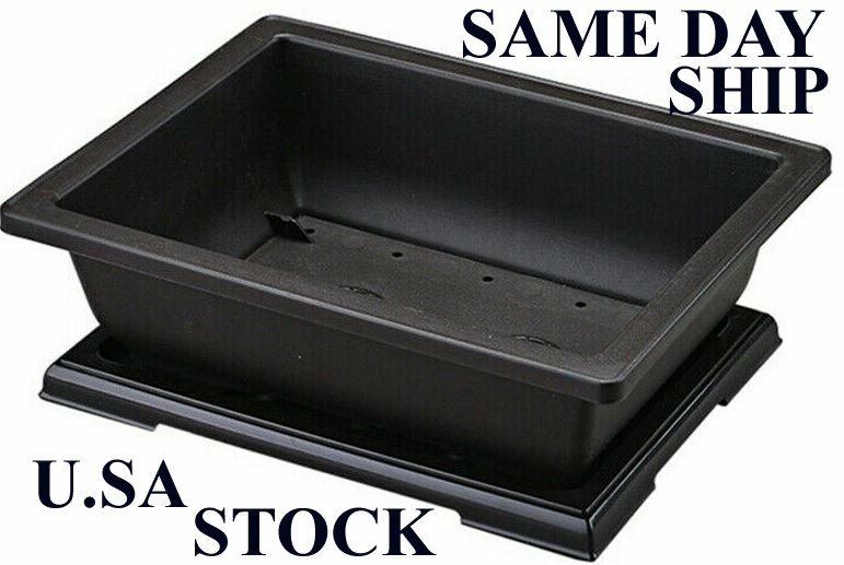 Rectangular Plastic Bonsai Pot 4 1/2" x 6 1/2" x 2 3/4" - NO TRAY Dark Brown gallery