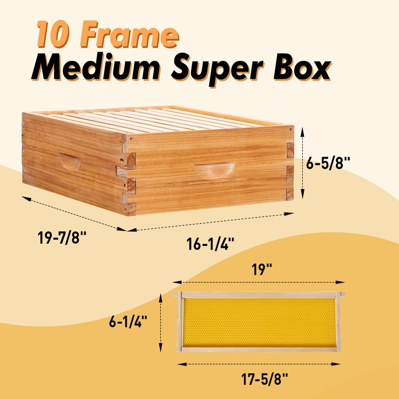 BeeCastle 10 Frame Beehive ( 2 Deep Brood Bee Boxes & 1 Medium Super Bee Box) gallery