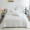 Ultra-Soft White Queen Comforter Set - 3 Pieces Queen/Full (92"x88") Snow White gallery