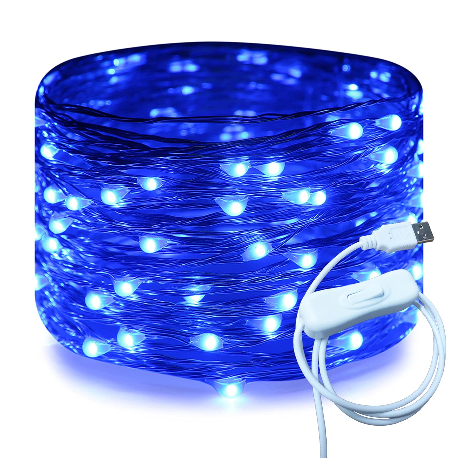 RUICHEN Silver Wire 33 Ft 100 LED USB Fairy String Lights 33Ft 100LED, Blue gallery