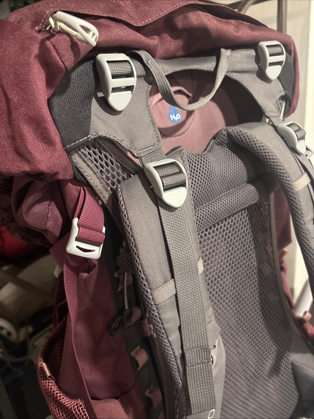 Osprey Women's Renn 50 Ventilated Backpacking Pack 5