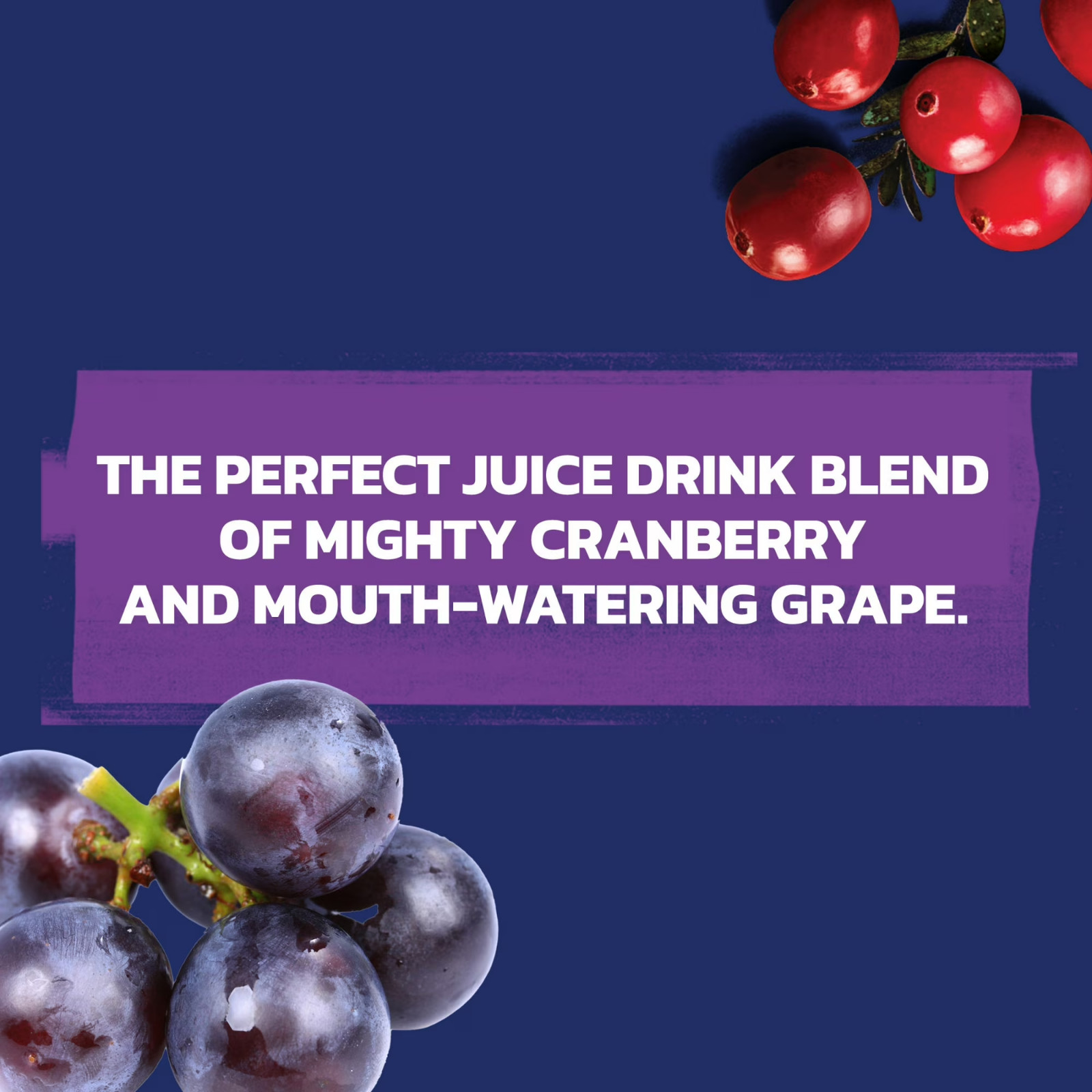 Ocean Spray® Cran-Grape® Cranberry Grape Juice Drinks, 10 fl oz Bottles, 6 Count gallery