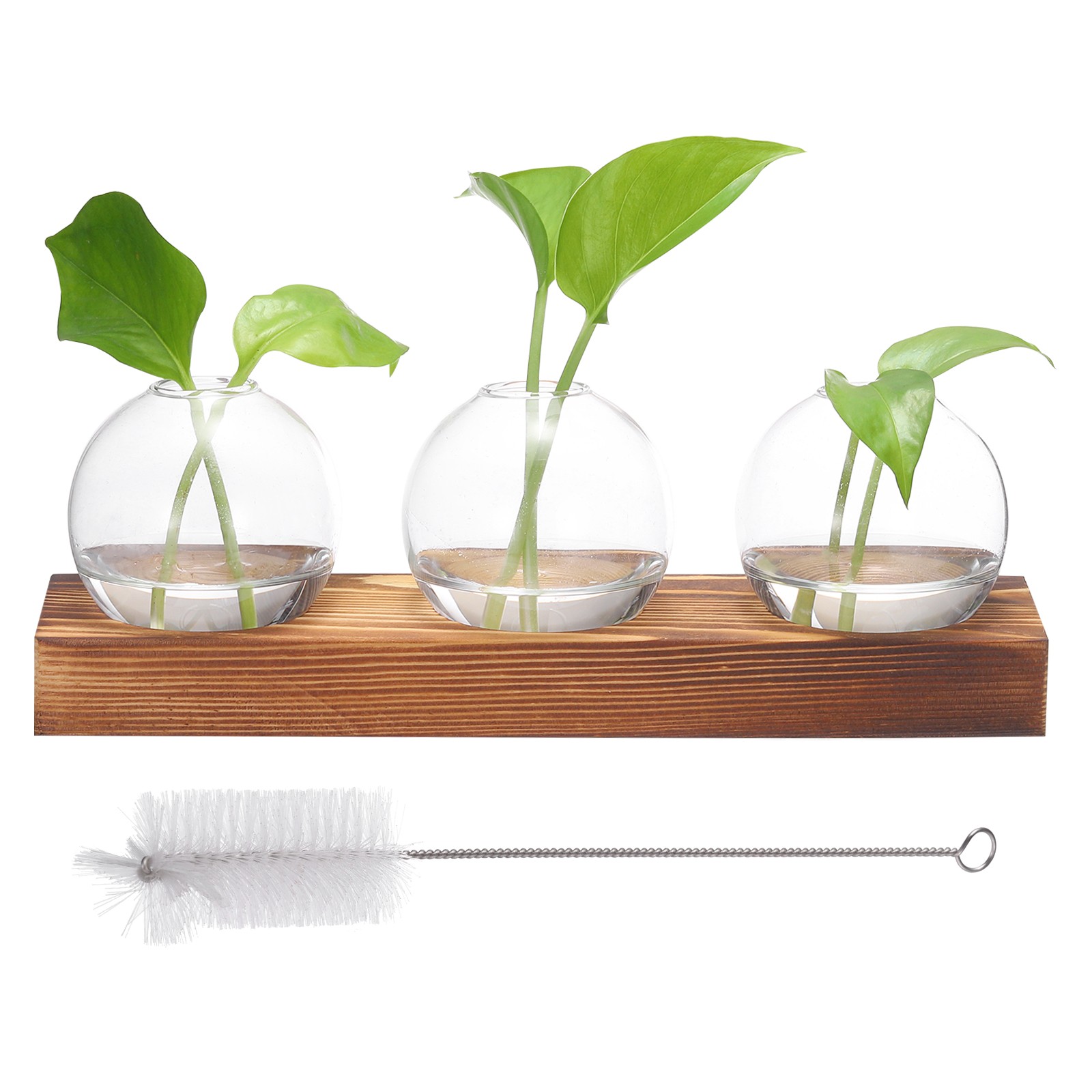 Small Plant Propagation Stations Glass Vases with Wooden Tray 3 Bulb Flower Vase gallery