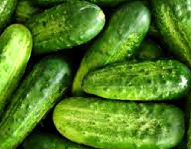 National Pickling Cucumber, Heirloom, NON-GMO Seeds, 25 Cucumber Seeds gallery