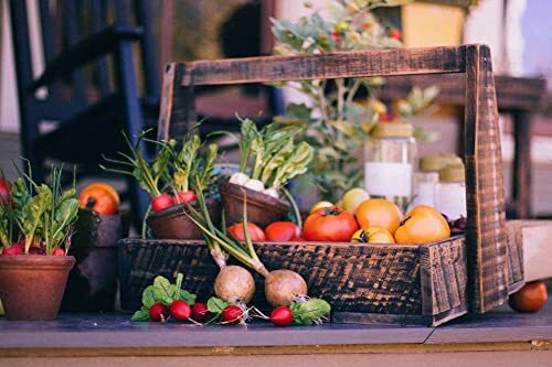 50 Packs Assorted Heirloom Vegetable Seeds 20+ Varieties All Seeds are Heirlo... gallery