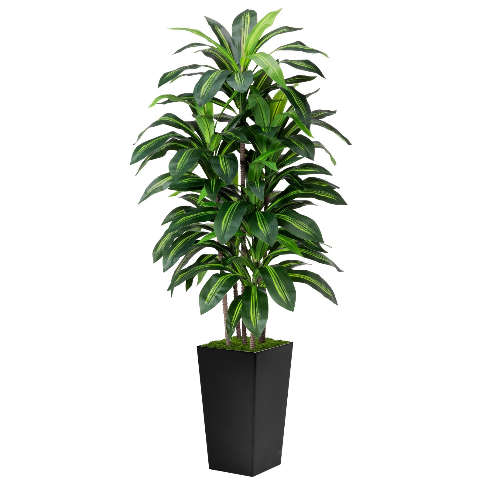 Artificial Dracaena Tree 5FT Fake Tree with Black Tall Planter Indoor Decor gallery