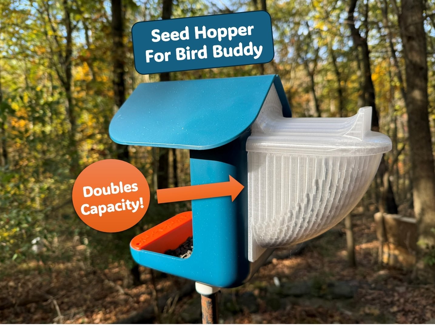XL Seed Hopper: DOUBLES Capacity for Bird Buddy, PETG Plastic gallery