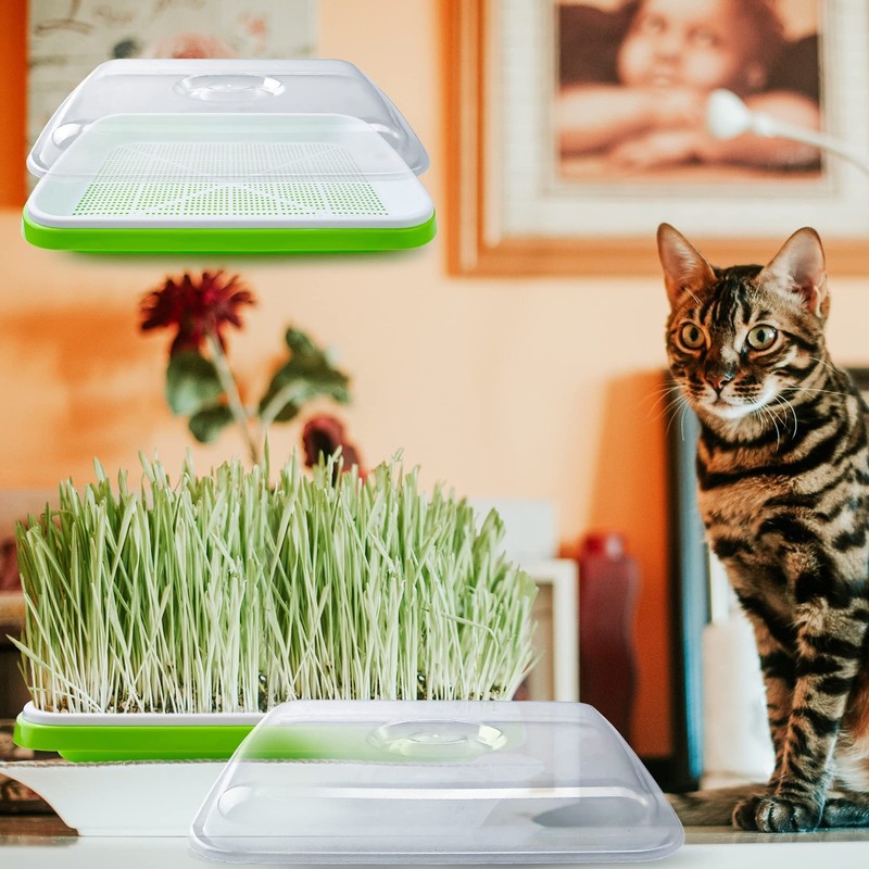 UCandy Seed Sprouter Tray with Drain Holes,Seed 5 Pack With Lid-light Green gallery
