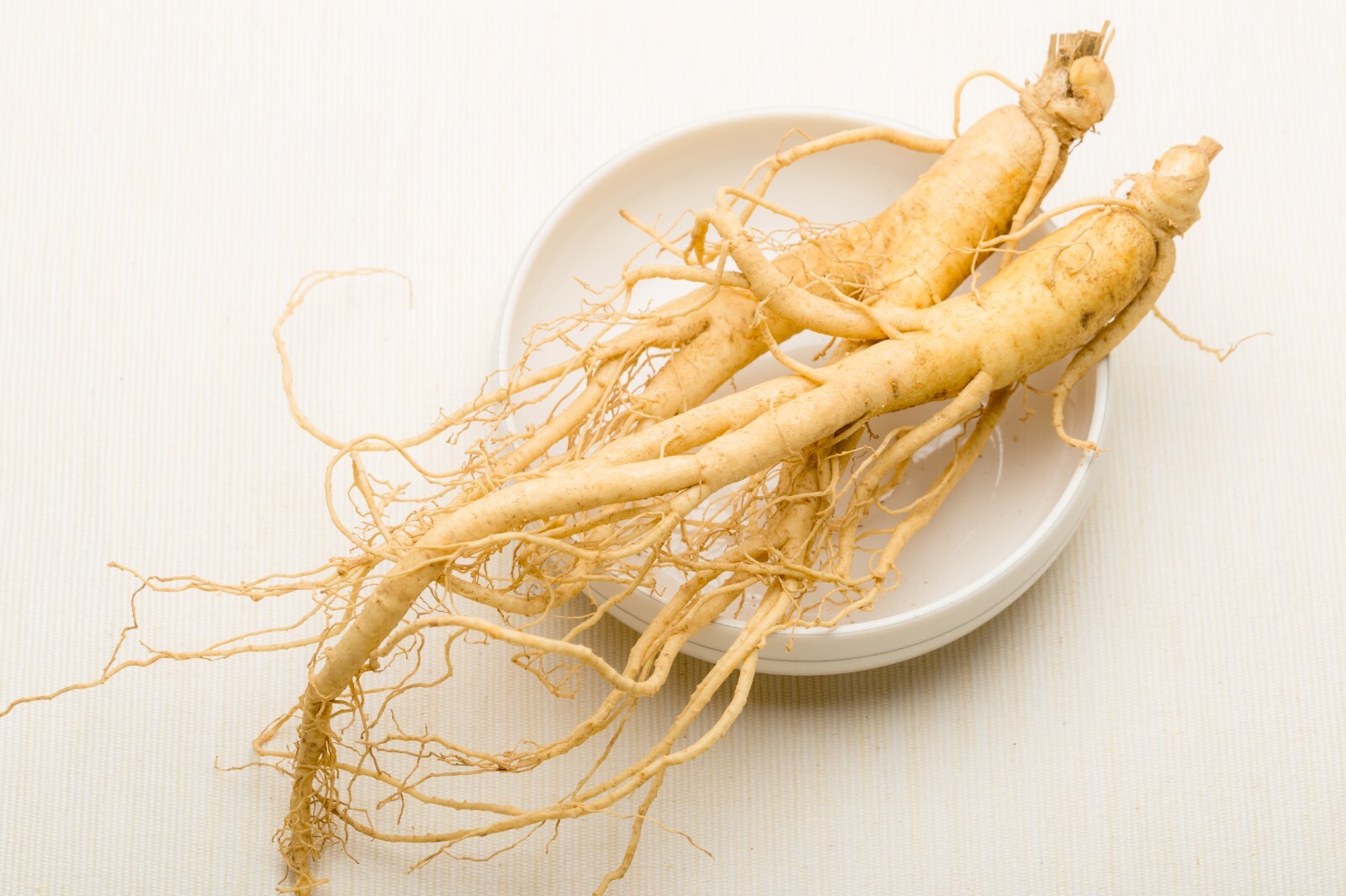 Ginseng Rootlets, Grow Your Own Wild Ginseng Seed from Root Stock! (3 Roots) gallery