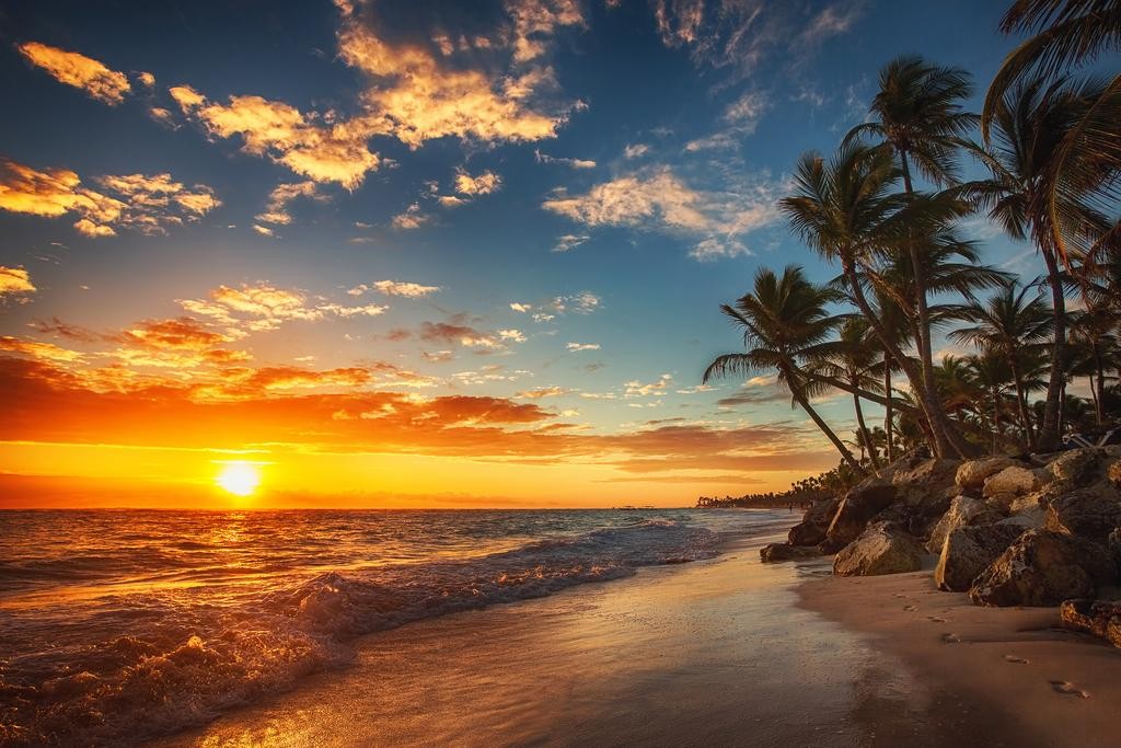 Sunrise Over Tropical Beach Palm Tree Ocean Photo Art Print Poster 24x36 inch gallery