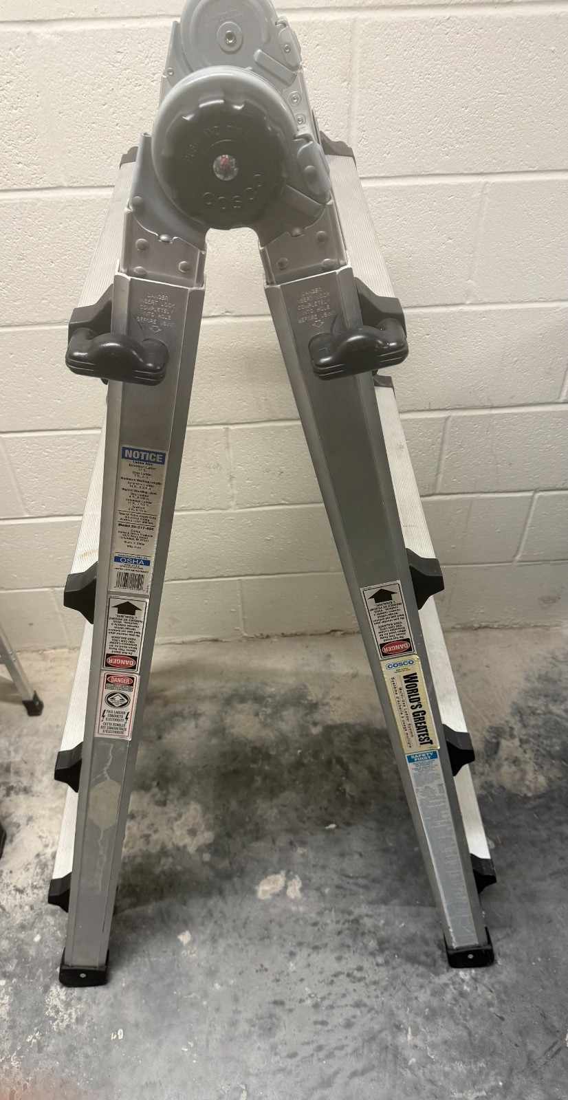 cosco ladder gallery