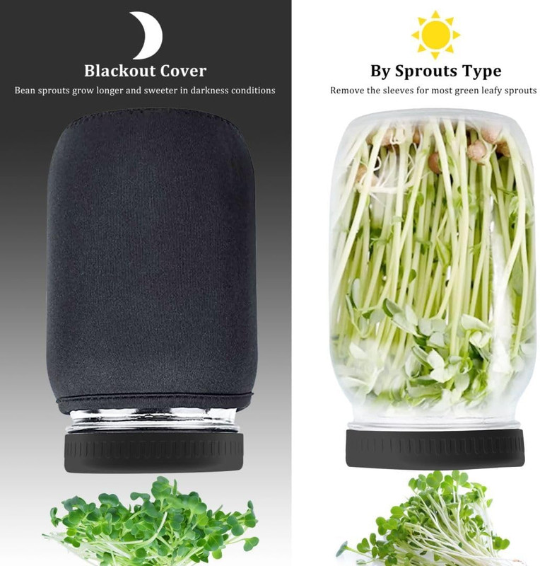 Organic Seed Sprouting Kit - 2 Mason Jars, Stainless Lids & Microgreens Stand gallery