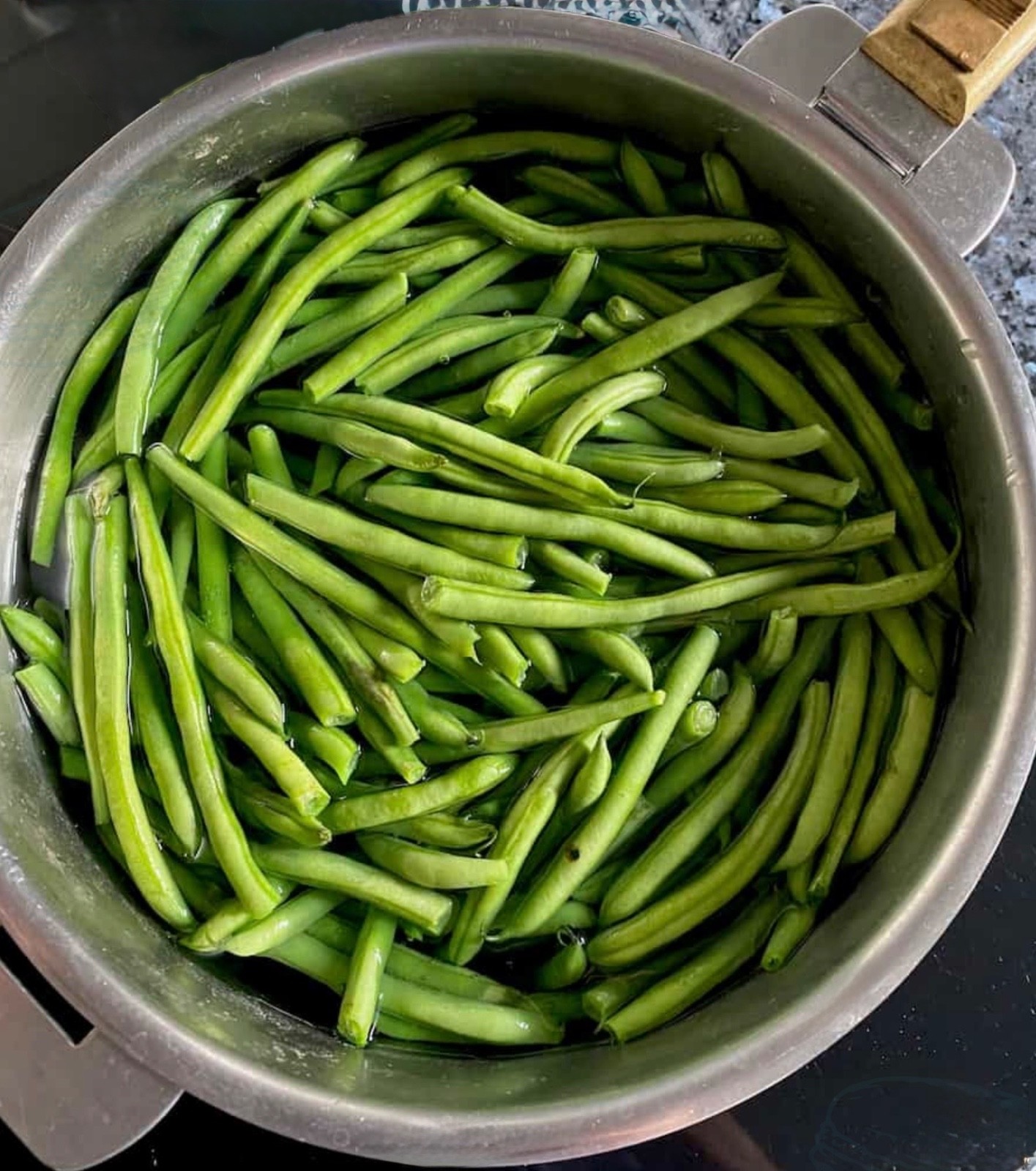 Petite French Filet Stringless Bush Bean (Haricot Vert) Fresh Seeds - Heirloom gallery