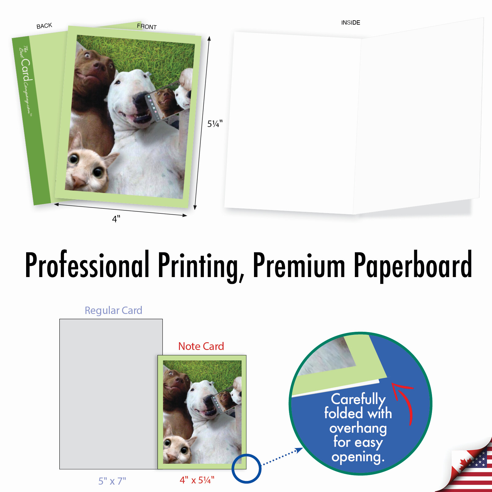 10 Assorted All Occasion Blank Note Cards - ANIMAL SELFIES M2373OCB gallery