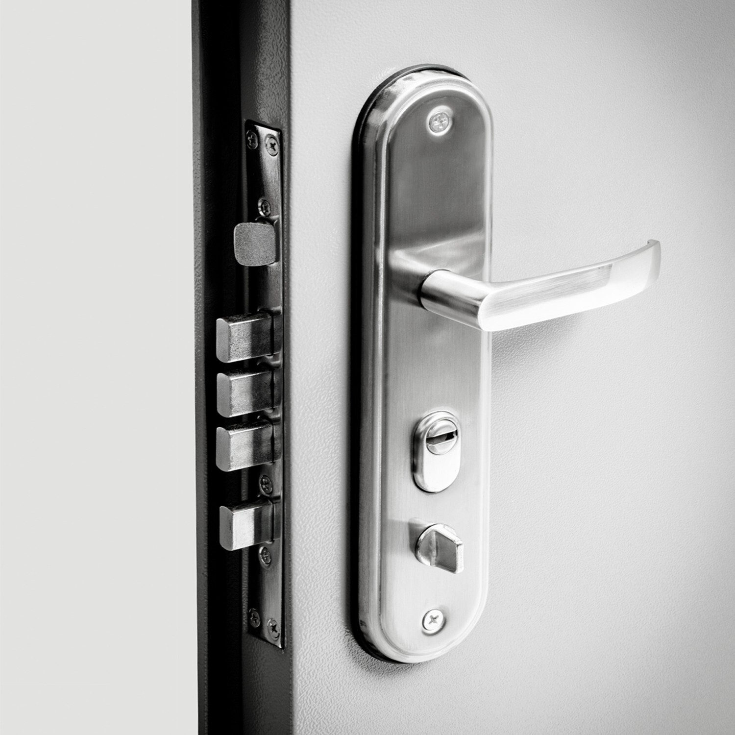 34 5/8" Steel Security Door with Frame and Quick Mount Hardware gallery