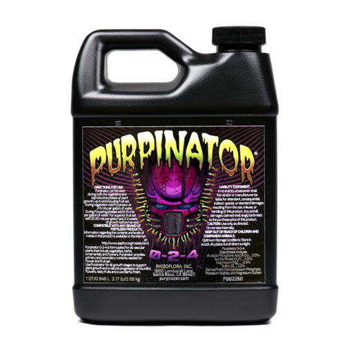 Rhizoflora Purpinator - improvement in color, aroma, and potency terpinator gallery