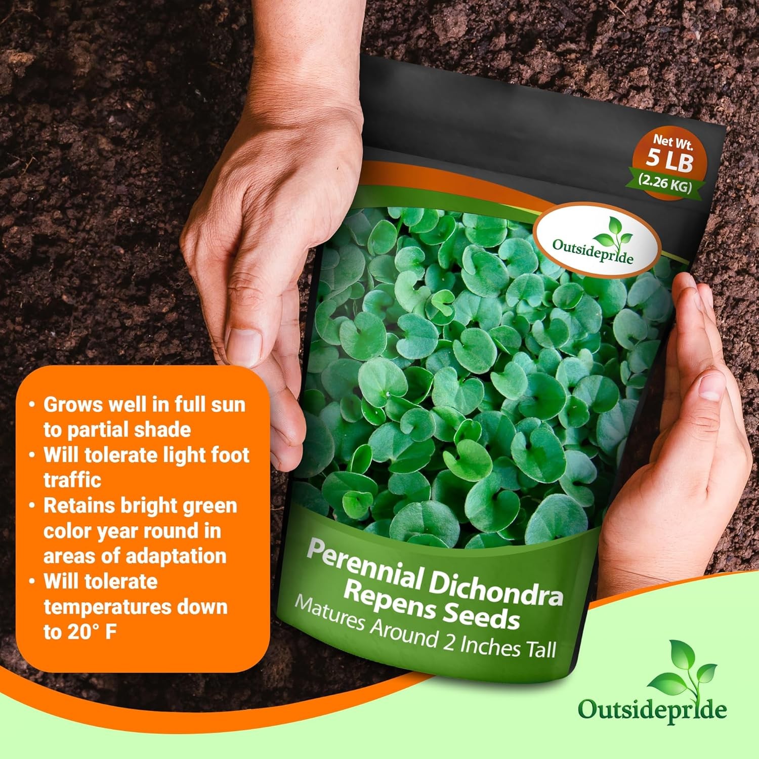 1 LB Dichondra Seed For Planting - Dichondra Repens Ground Cover Seeds gallery