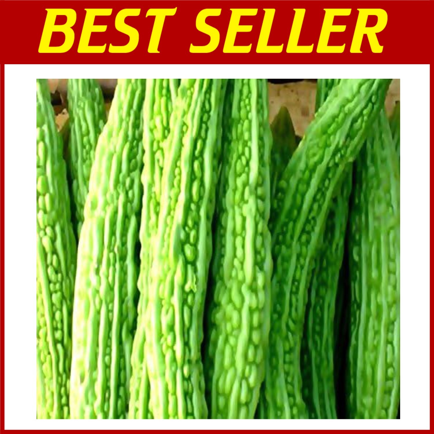 Mara Long Variety Bitter Melon - 100 Non-GMO Seeds gallery