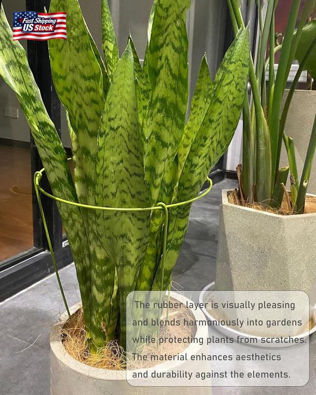 3 Pack Plant Support Stakes, Adjustable Plant Ring Cages with Green Rubber Wrapp gallery