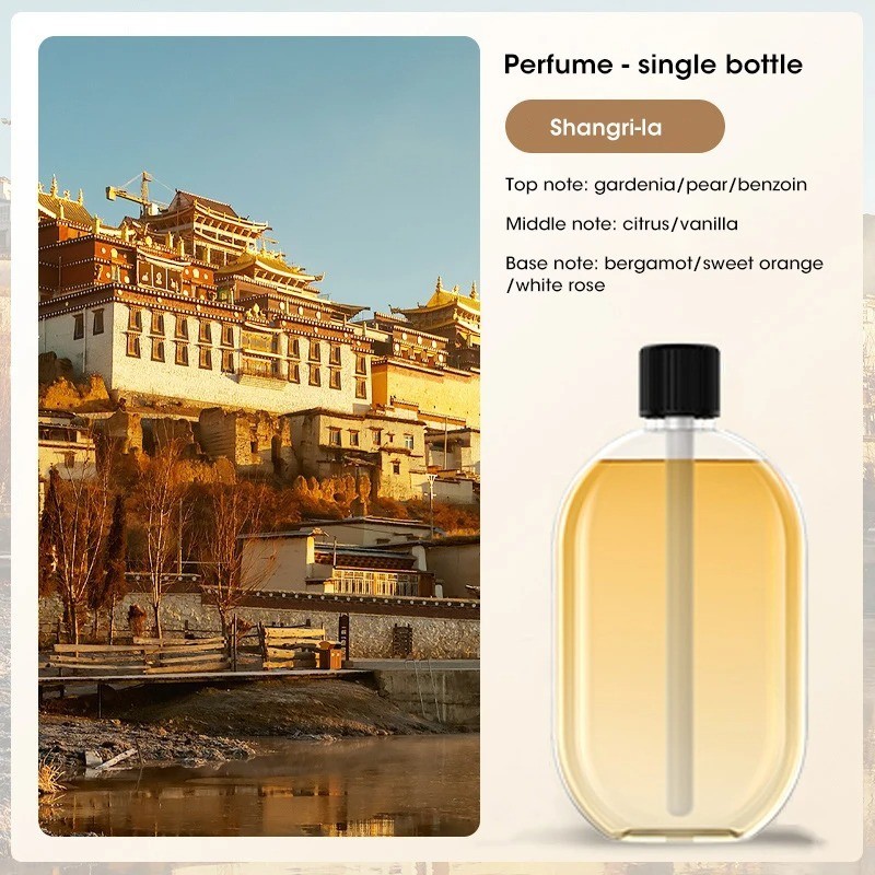 Auto Fragrance Diffuser USB Essential Oil Spray Light Home Room Freshener