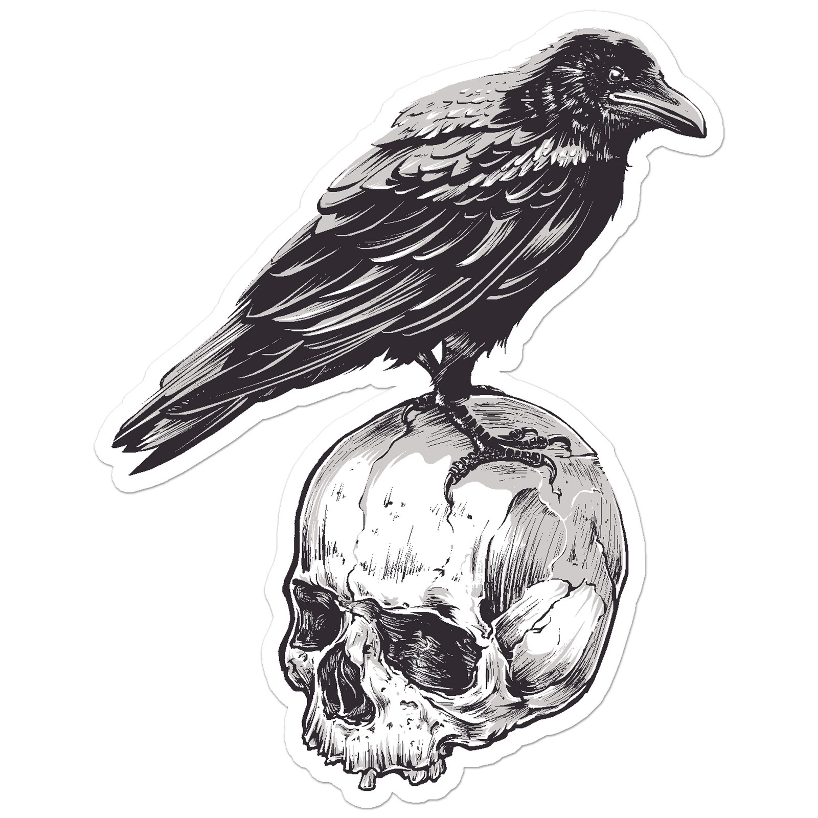 Crow Skull Raven - Vinyl Decal Sticker - Car Window Laptop - ebn8996 gallery