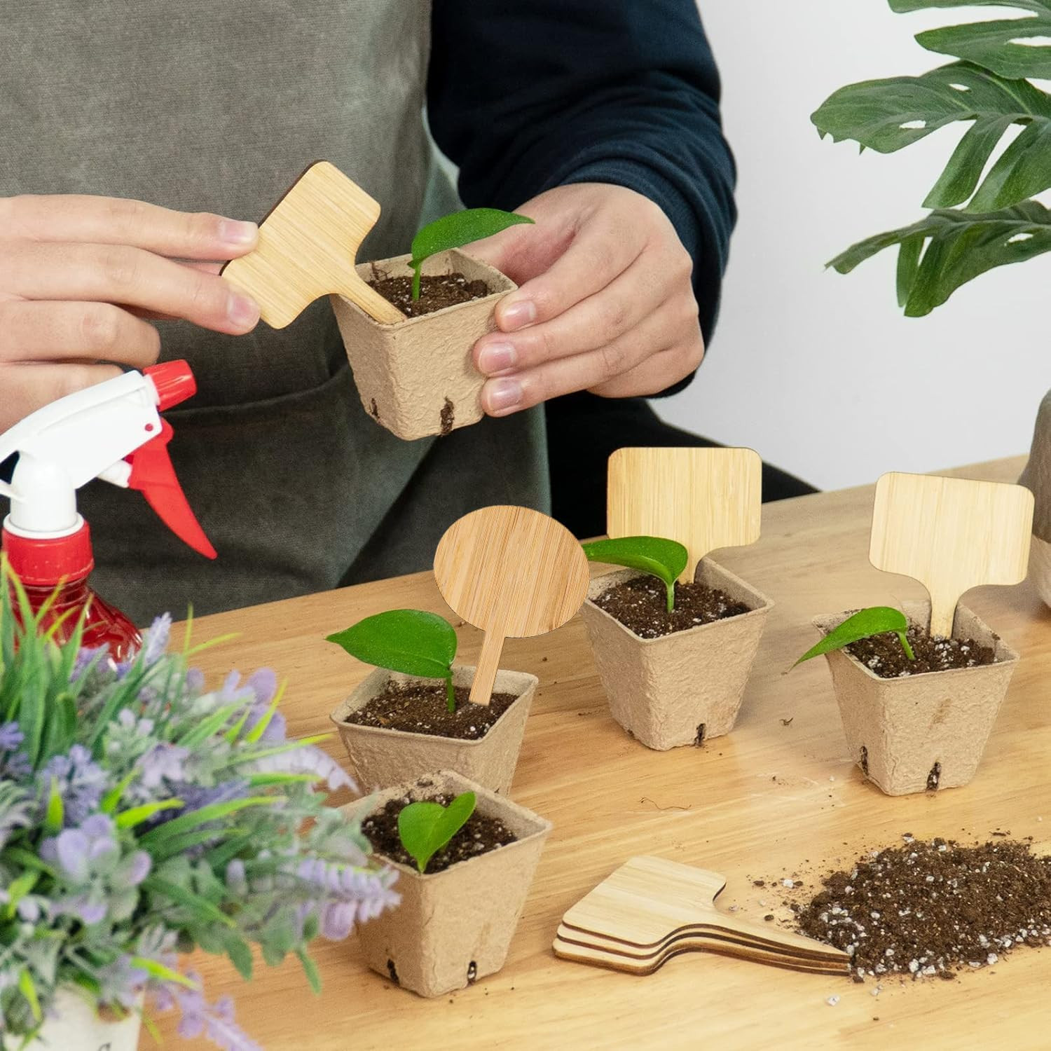 75 Pack Bamboo T-Type Plant Labels with A Marker Pen Garden Markers Sign Plant gallery