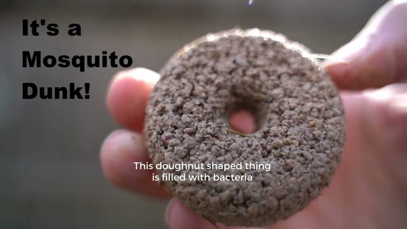 60 Summit BTI Mosquito Control Dunks Bactimous ~ Kill Mosquitoes & Larvae gallery