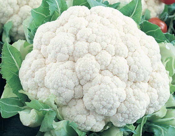 400+ Cauliflower Seeds -Self Blanching | Non-GMO | Heirloom | USA FREE SHIPPING gallery