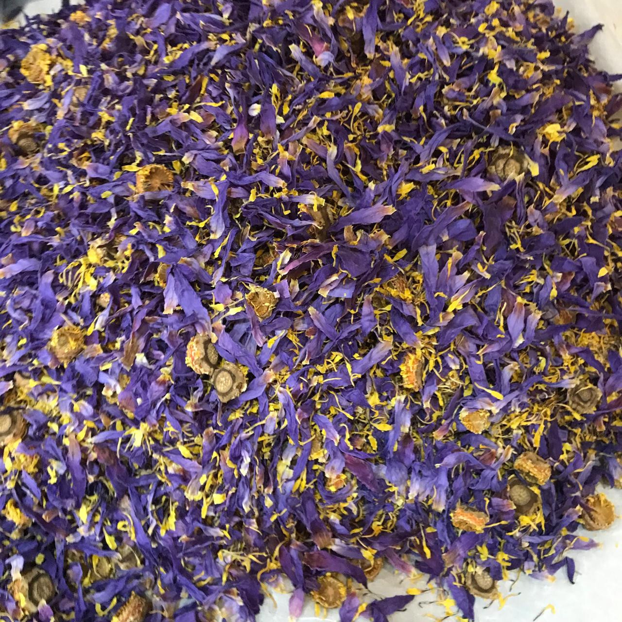 Cut Blue Lotus Dried Flower Nymphaea Caerulea Hand Picked Pure Ceylon Herbal Tea gallery