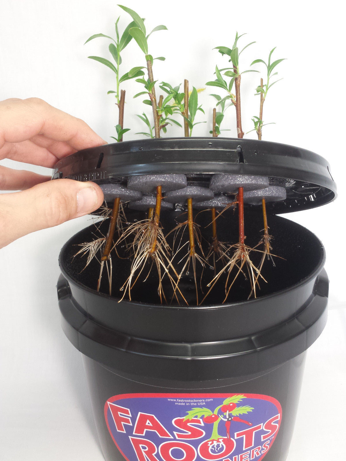 7 Site Indoor Plant Cloning System - Root Growing Air Bubbler Hydroponics Kit gallery