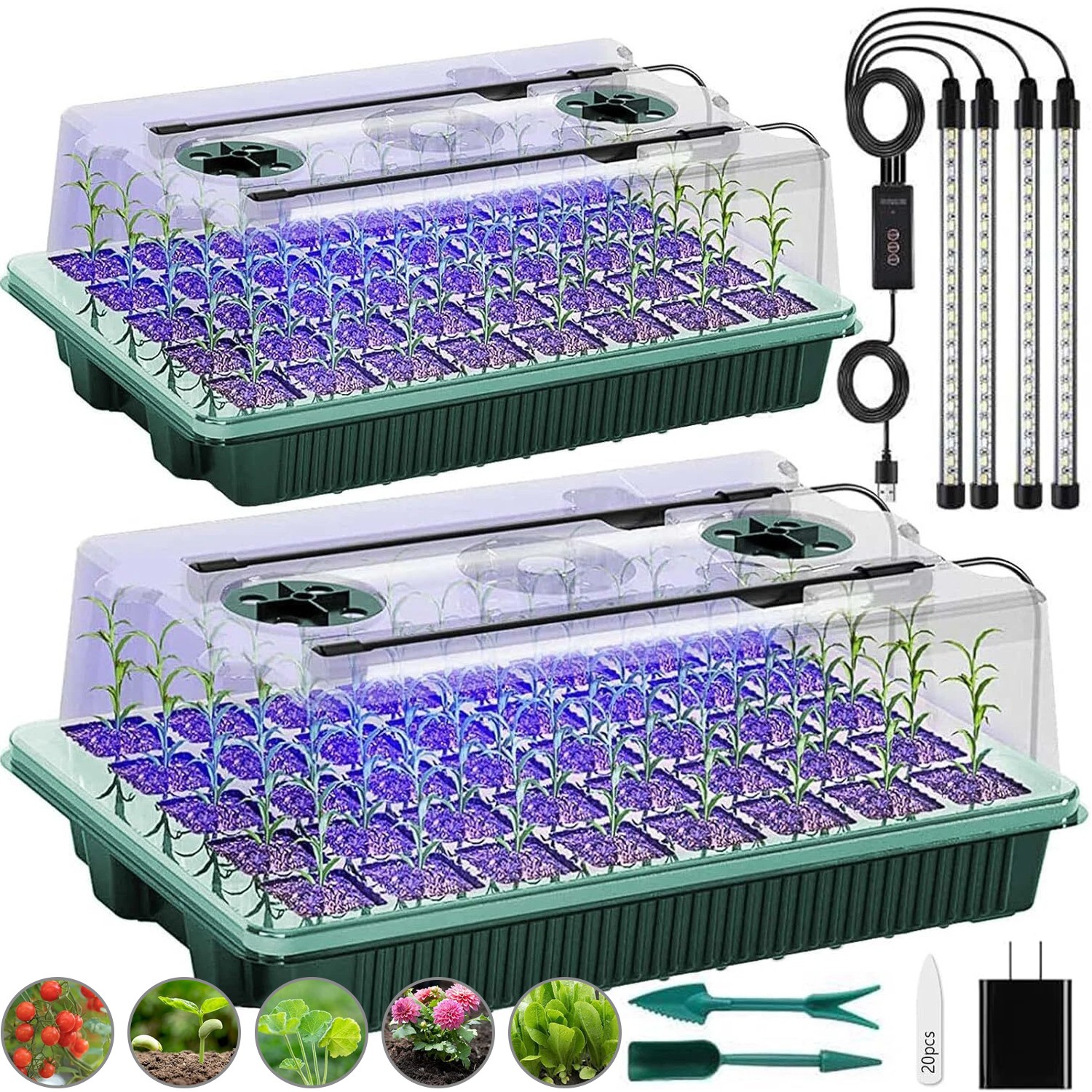 Seed Starter Tray with Grow Light, 2 Packs 80 Cells Seed Starting Kit gallery