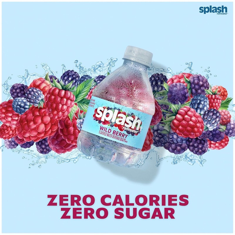Splash Blast Wild Berry Hydration Pack - 24x8 Fl Oz Electrolyte Beverage gallery