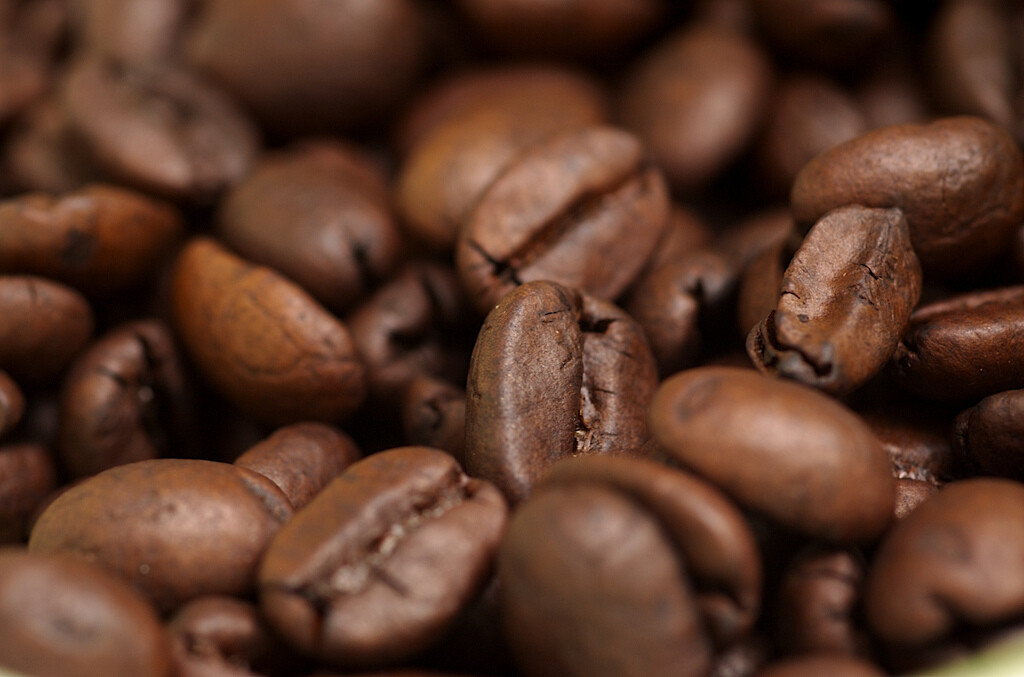 2026 One Bag - Premium Roast Coffee - Fresh Roasted Daily - Whole Bean Coffee gallery