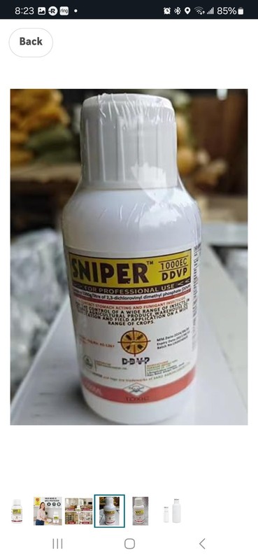2026 Roach killer gallery