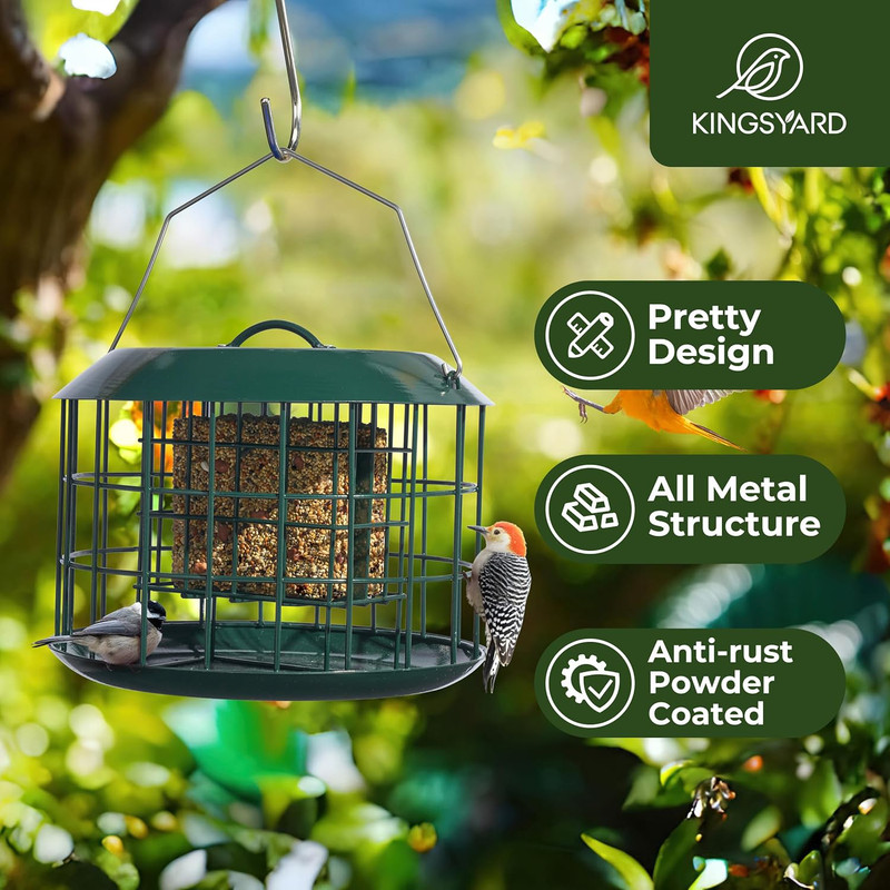 Squirrel Proof Metal Suet Feeder for Birds, Dual Cake Capacity, Green gallery