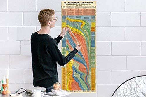 Histomap of Evolution (size 23"x62") Scientific Research Map 23"x62", multi gallery