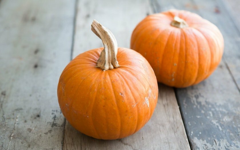 Pumpkin Seeds - Sugar Pie - Heirlooms - 6.grams gallery