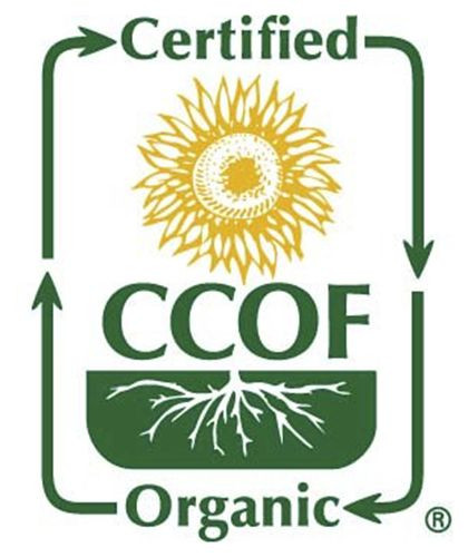 McCabe ORGANIC Corn Tea, 1.5-Pound, USDA & CCOF Organic, Roasted & Packed in USA gallery