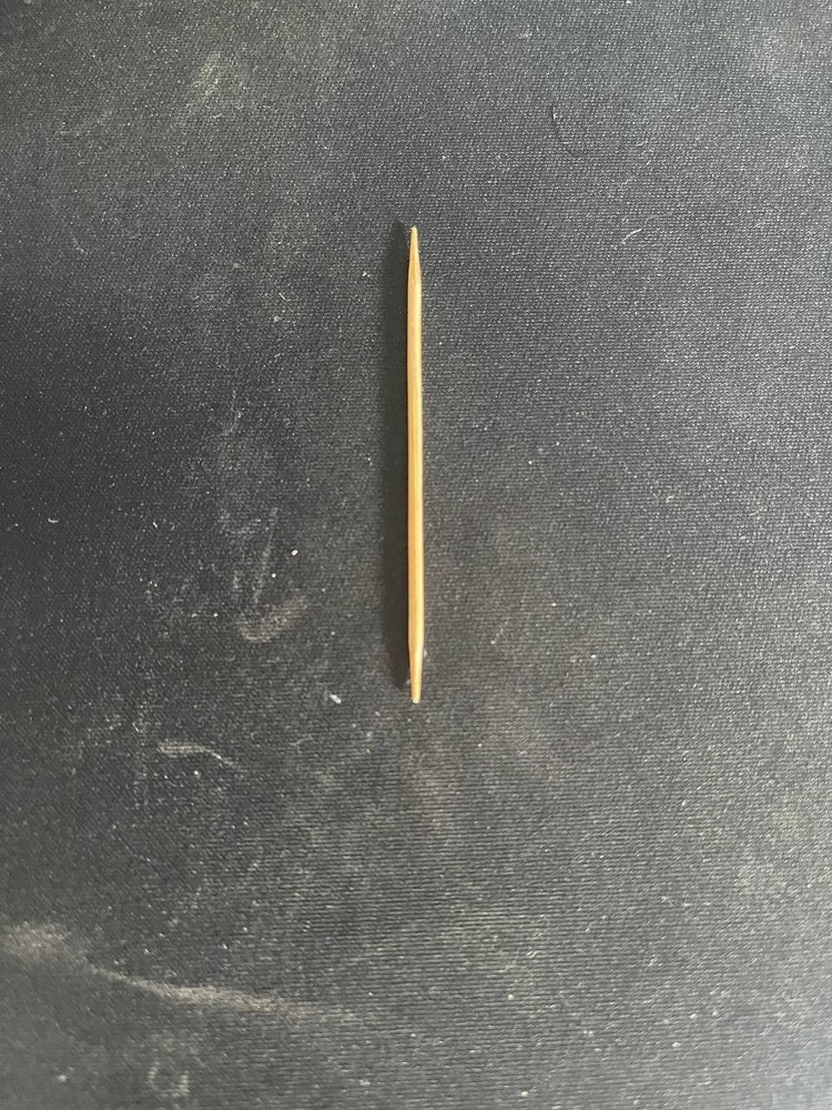 Used Bamboo Toothpick (2 in.)