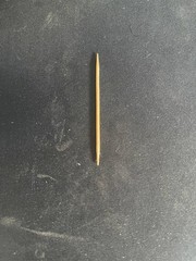 Used Bamboo Toothpick (2 in.)