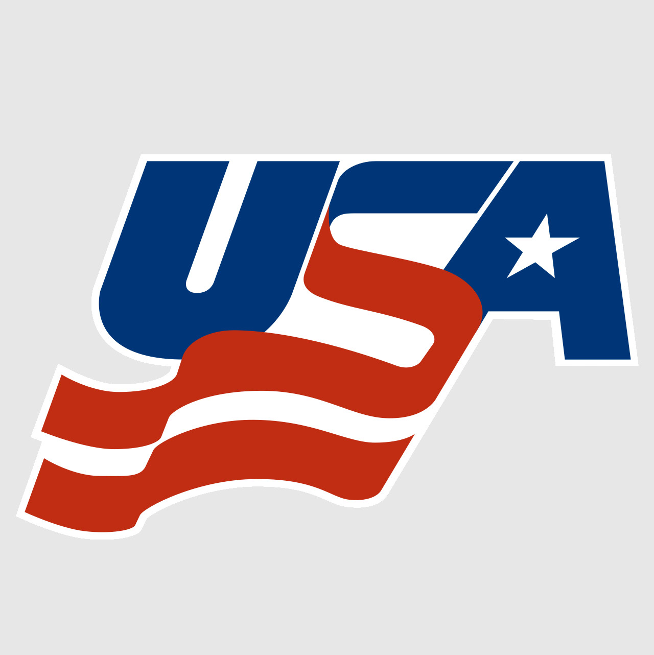 Weather Resistant Vinyl Sticker/Decal - Team USA Hockey Badge 03 gallery