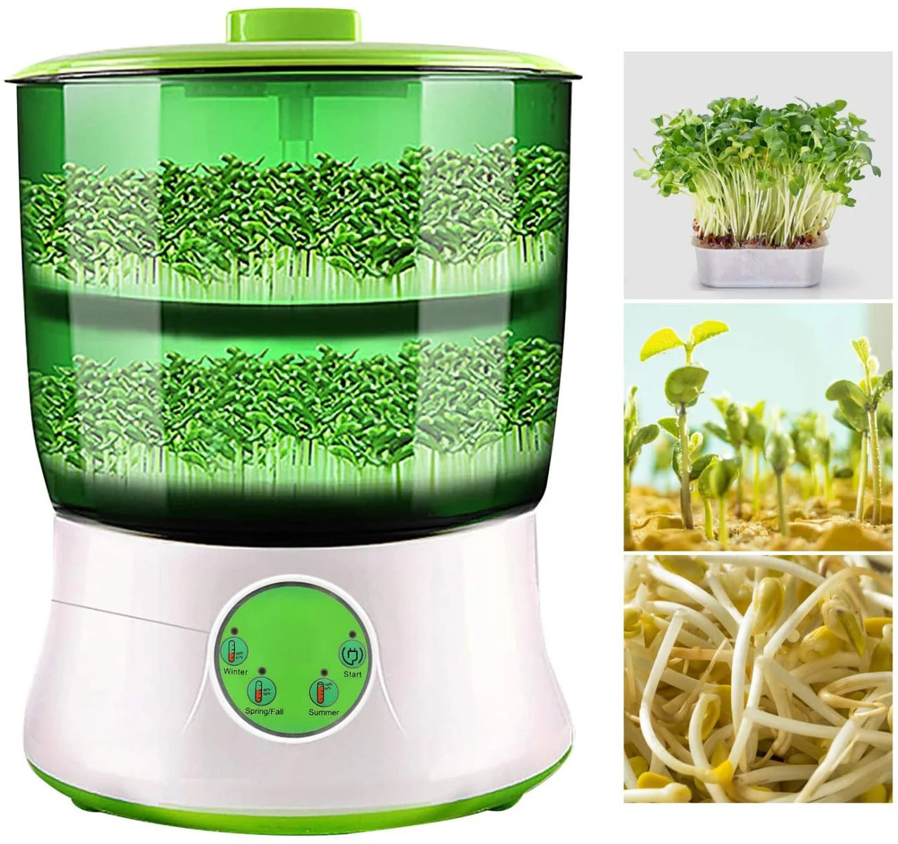 Bean Sprouter Machine, Plastic, Green gallery
