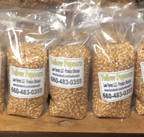 Home Grown Popcorn Sampler - 4 Bags, 2lbs Each - Strawberry, Blue, White, Mushro gallery
