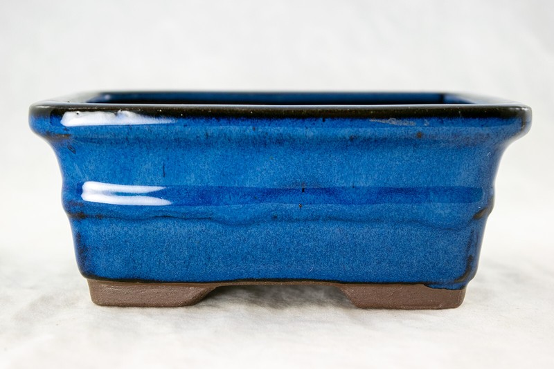 6" Rectangular Dark Blue Shohin Bonsai Pot + Soil + Tray + Rock + Mesh Kit gallery