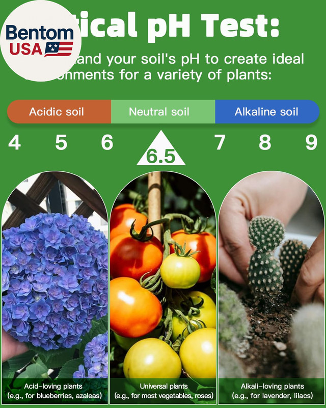 2-In-1 Ph & Nitrogen Soil Test Kit, Home Soil Testing Kit for Lawns Gardening Gr gallery