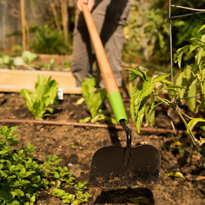 Welded Garden Hoe gallery